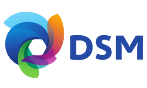 DSM Logo