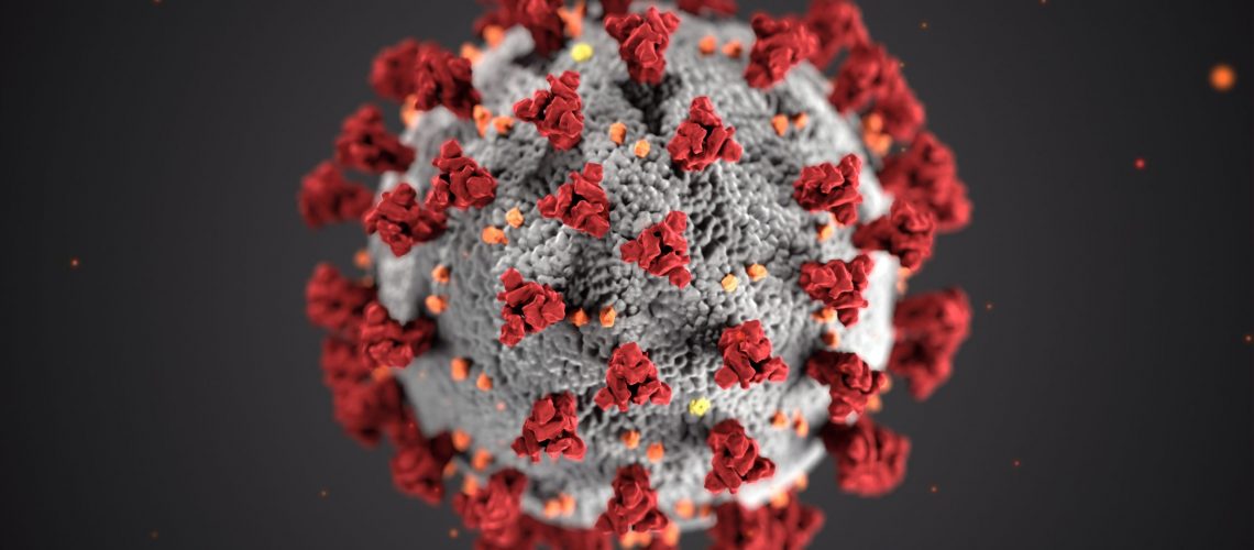 Corona Virus